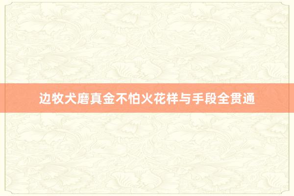 边牧犬磨真金不怕火花样与手段全贯通